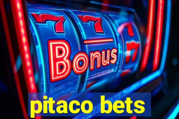 pitaco bets